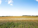 Images for St. Catherines Road, Kettering